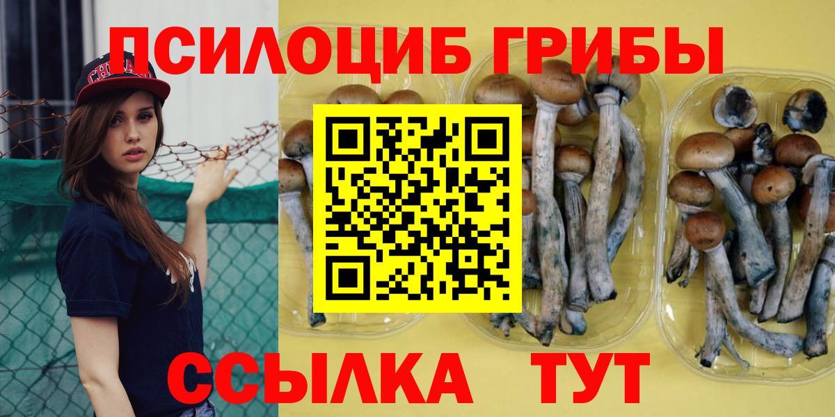 Псилоцибиновые грибы мухоморы  Галлюциногенные грибы Cubensis  Вход с VPN  Бугульма 